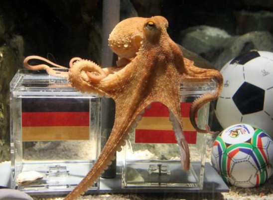 Paul the German Octopus.jpg